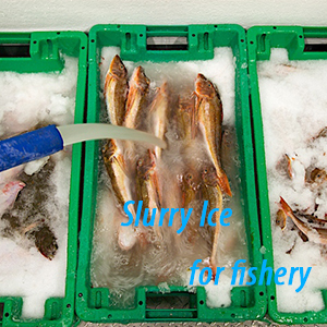 slurry ice